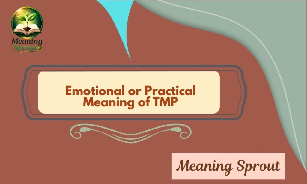 Emotional or Practical Meaning of TMP