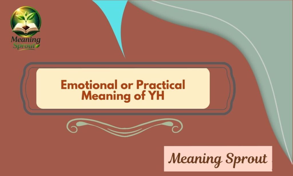 Emotional or Practical Meaning of YH