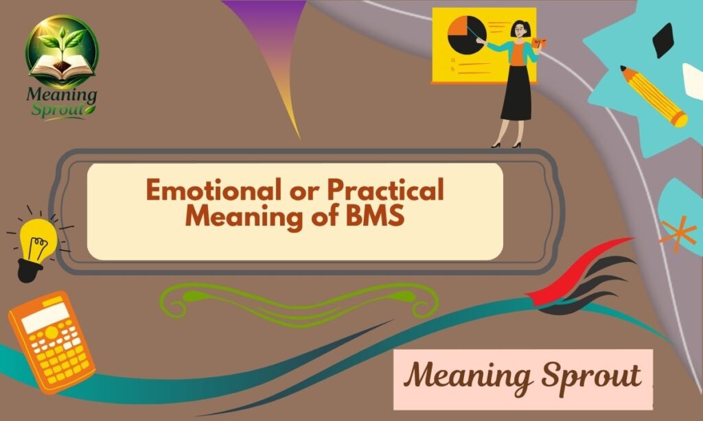 Emotional or Practical Meaning of BMS