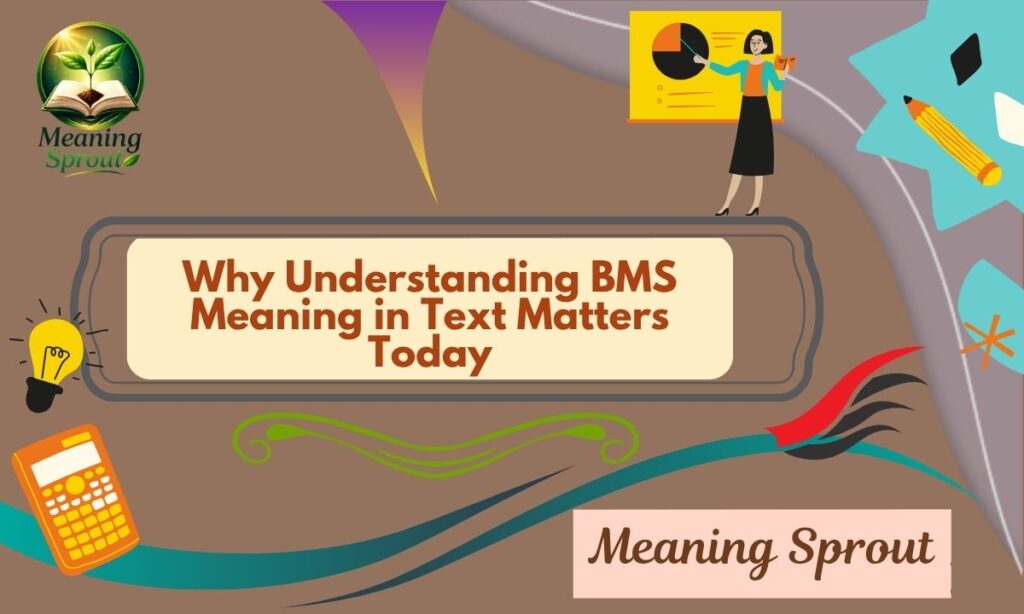 Why Understanding BMS Meaning in Text Matters Today
