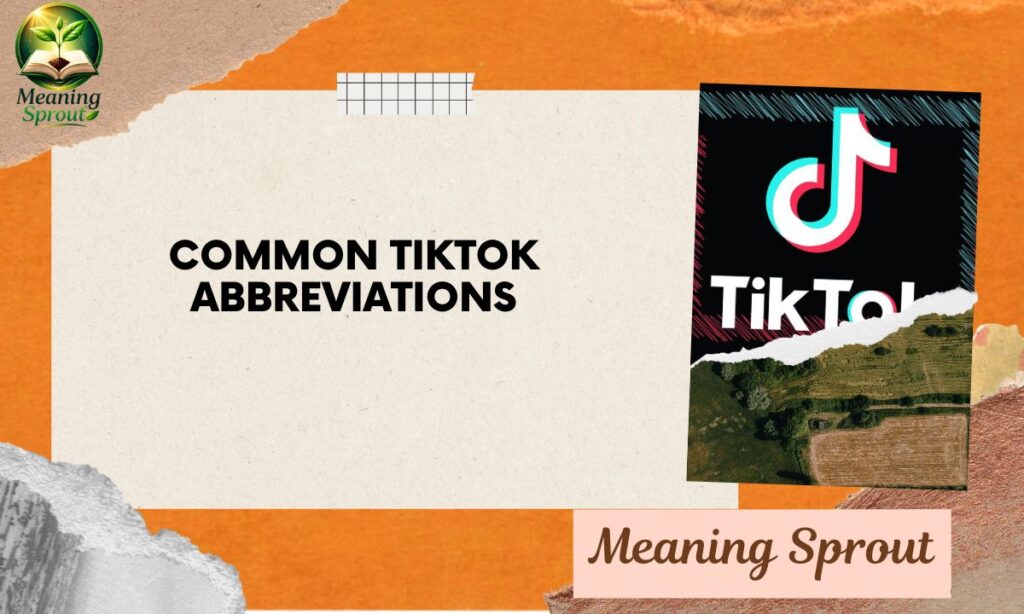 Common TikTok Abbreviations