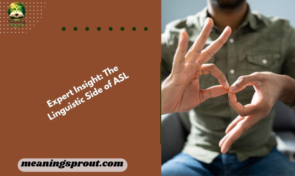 Expert Insight: The Linguistic Side of ASL
