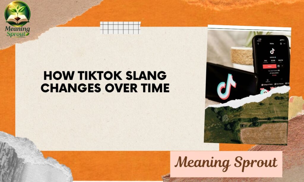 How TikTok Slang Changes Over Time