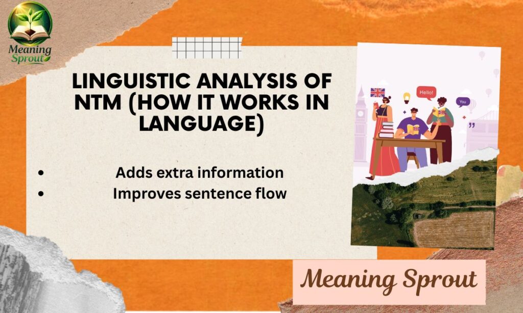 Linguistic Analysis of NTM (How It Works in Language)