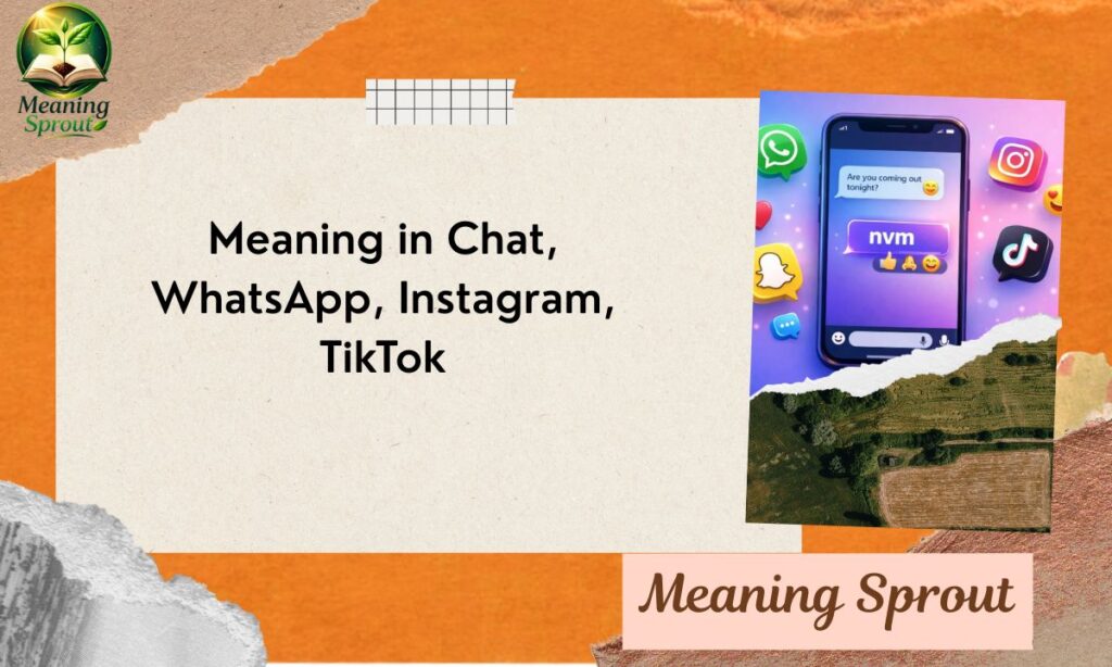 Meaning in Chat, WhatsApp, Instagram, TikTok