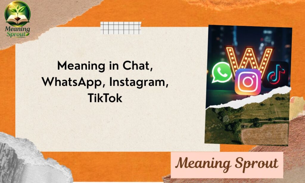 Meaning in Chat, WhatsApp, Instagram, TikTok