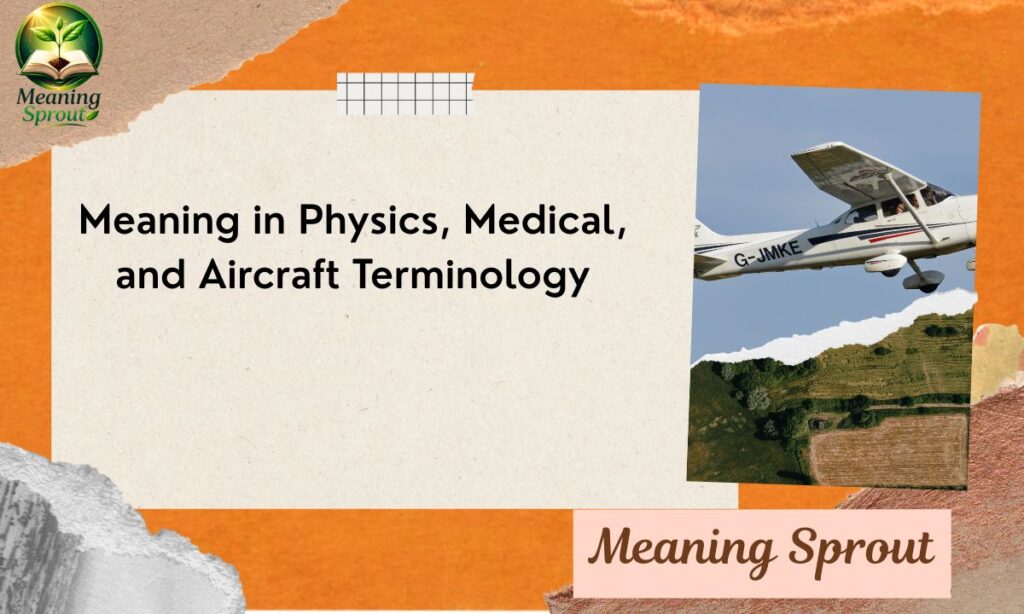 Meaning in Physics, Medical, and Aircraft Terminology