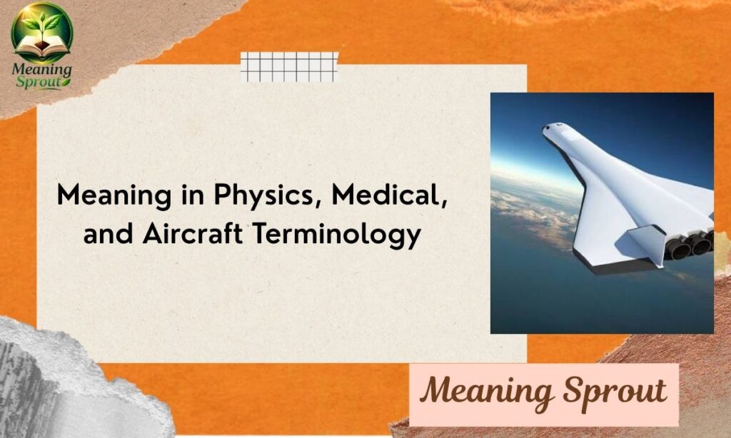Meaning in Physics, Medical, and Aircraft Terminology