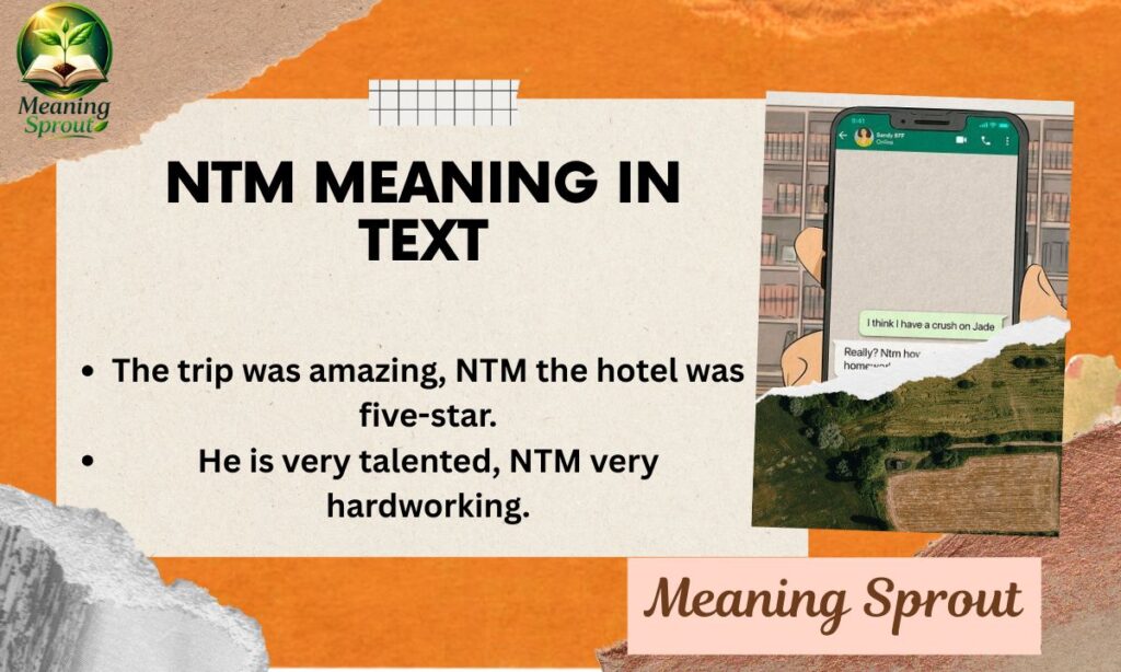NTM Meaning in Text
