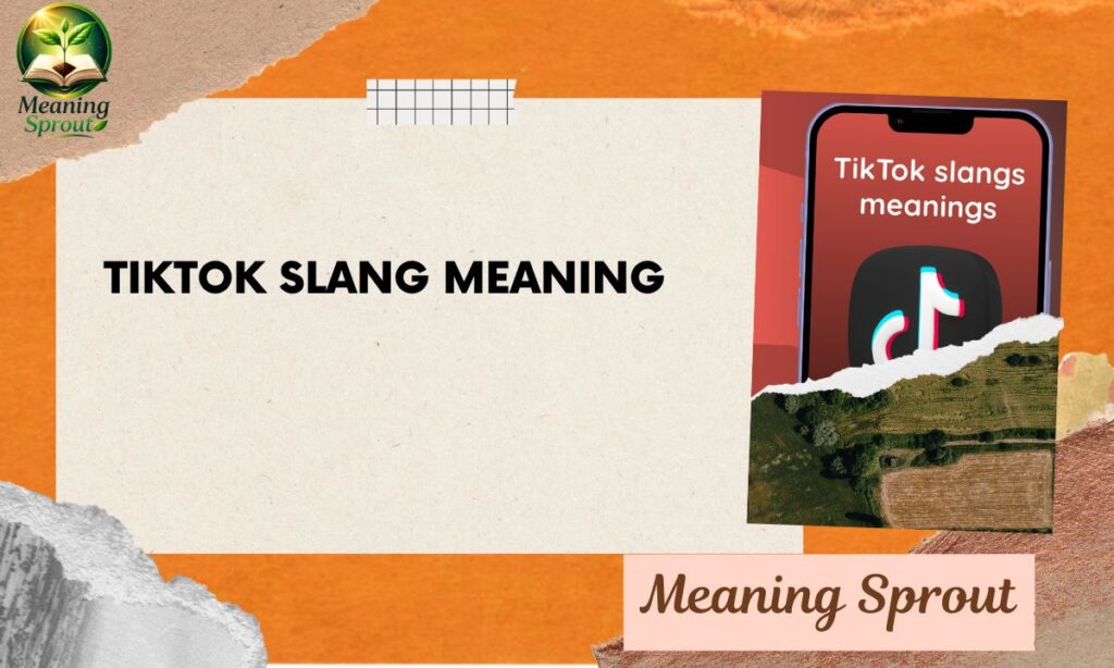 TikTok Slang Meaning