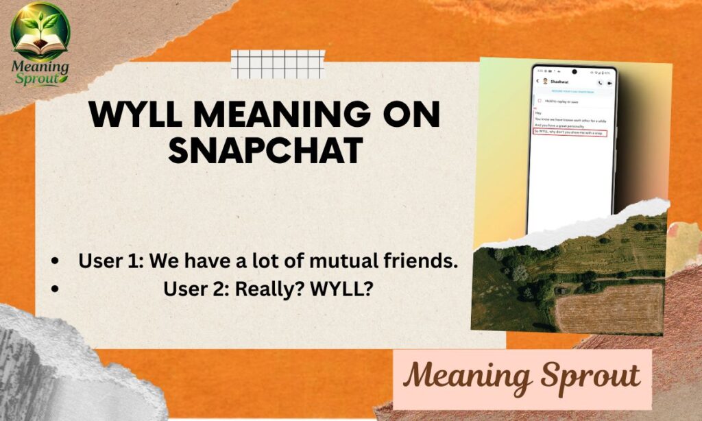 WYLL Meaning on Snapchat