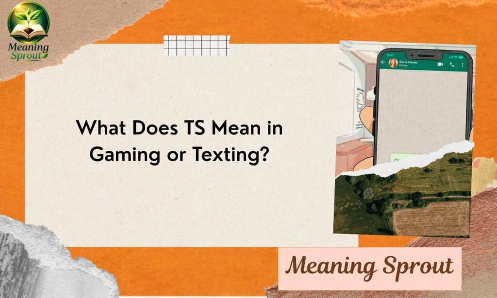 What Does TS Mean in Gaming or Texting