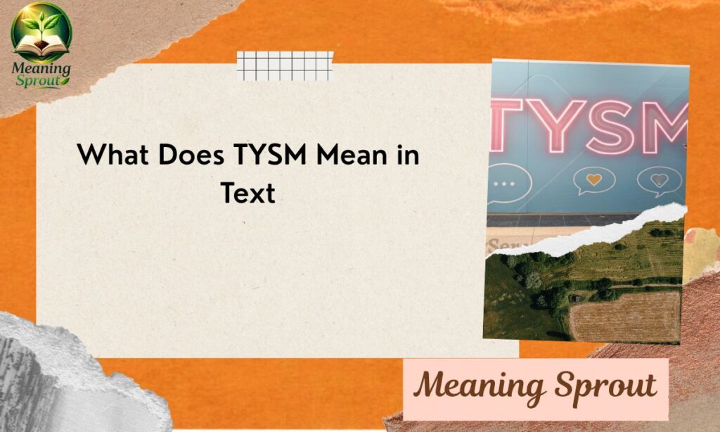 What Does TYSM Mean in Text? A Complete Guide to Its Meaning, Usage, and Contexts