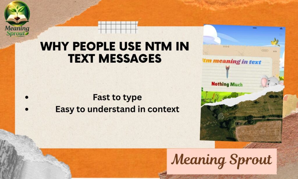 Why People Use NTM in Text Messages