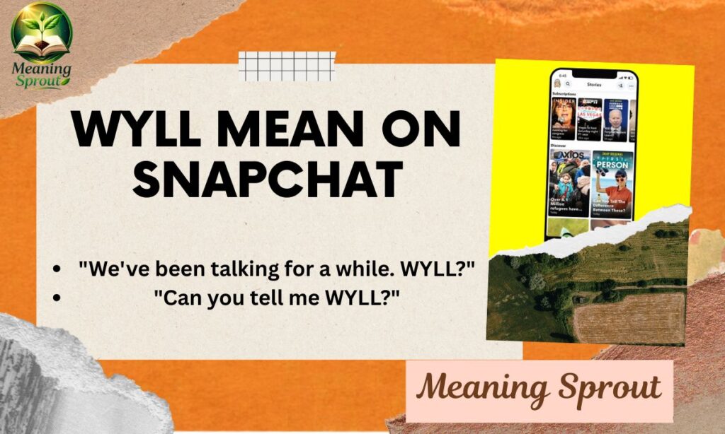 What Does WYLL Mean on Snapchat?
