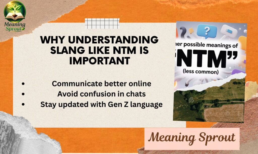 Why Understanding Slang Like NTM Is Important